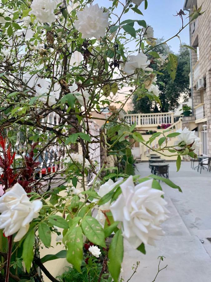 The Franeta Lux * Budva